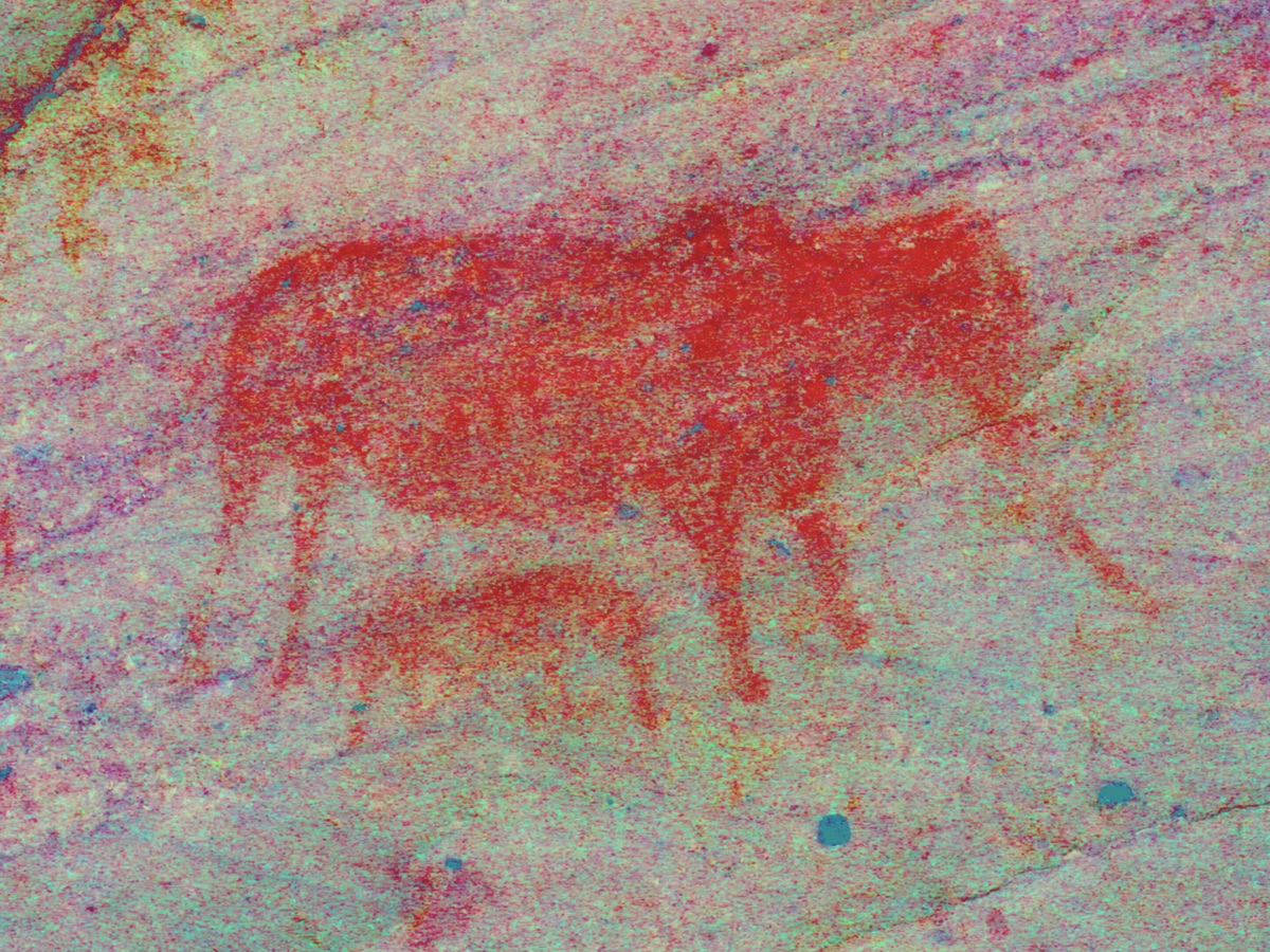 Thinking With Elephants