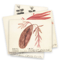 Drawings, Watercolours, Things